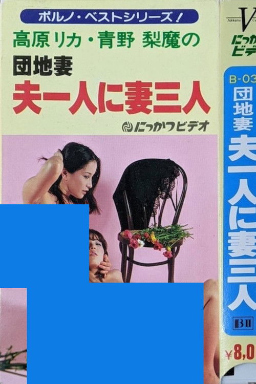 Póster de 団地妻 夫一人に妻三人
