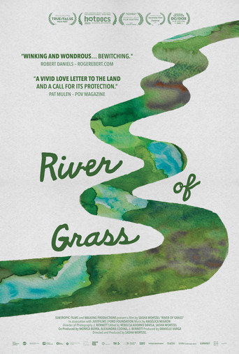 Póster de River of Grass