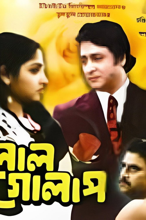 Póster de লাল গোলাপ
