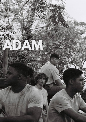 Póster de ADAM