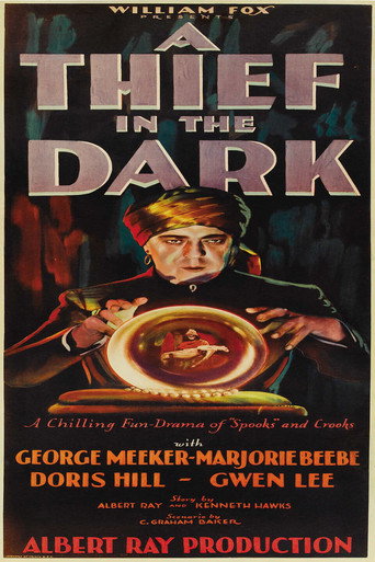 Póster de A Thief in the Dark