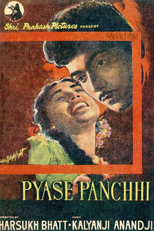 Póster de Pyase Panchhi