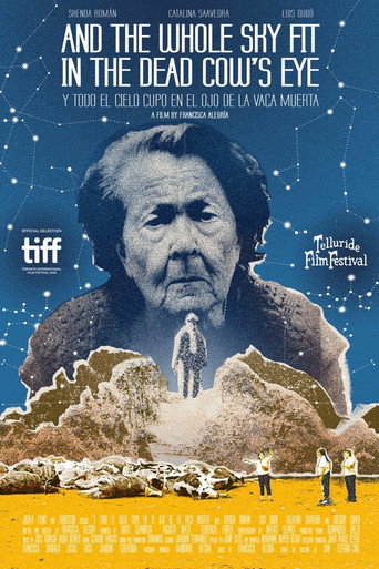 Póster de Y todo el cielo cupo en el ojo de la vaca muerta