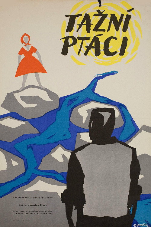 Póster de Tažní ptáci