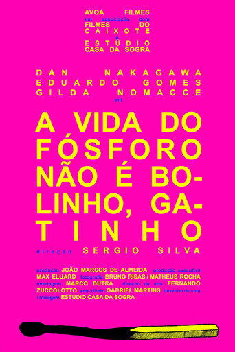 Póster de A Vida do Fósforo Não É Bolinho, Gatinho