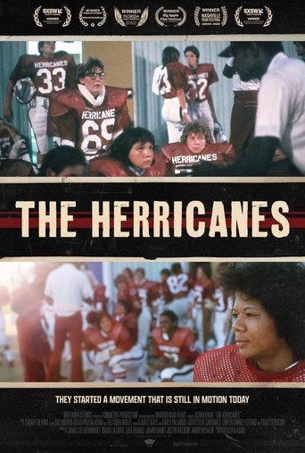 Póster de The Herricanes