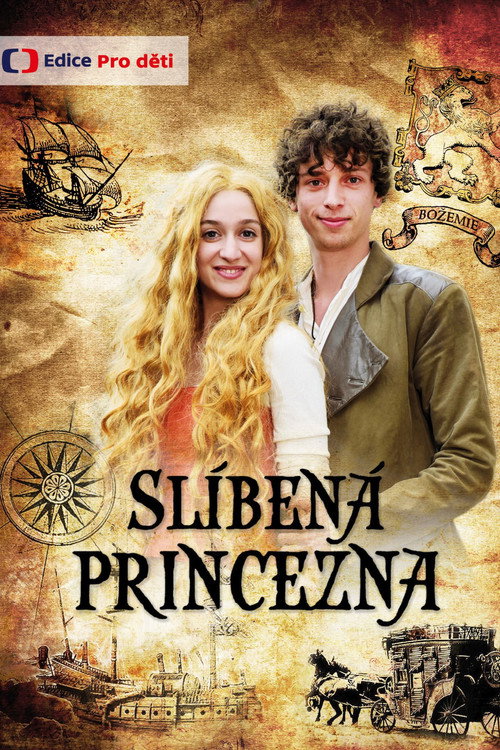 Póster de Slíbená princezna
