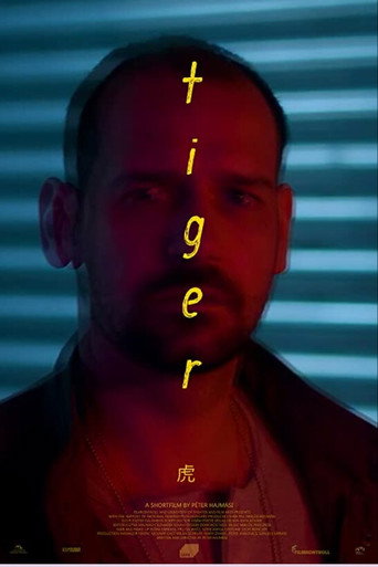 Póster de Tigris