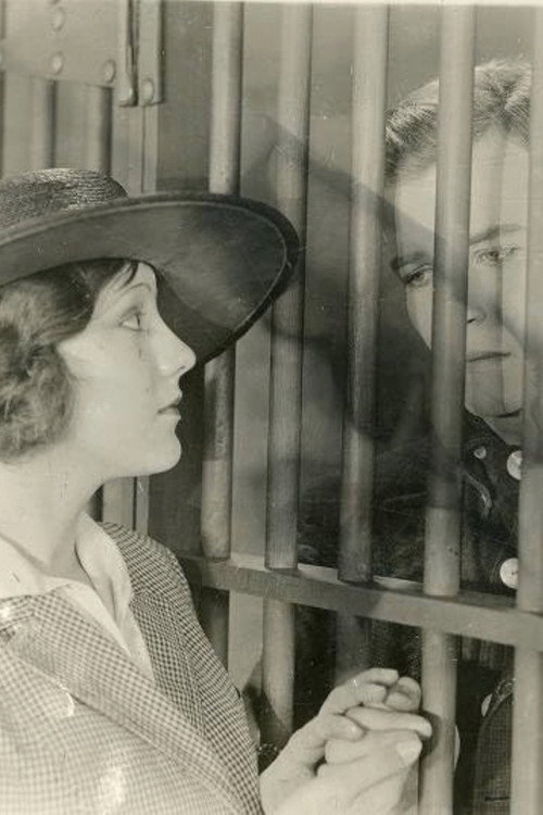 Póster de Love Is Love