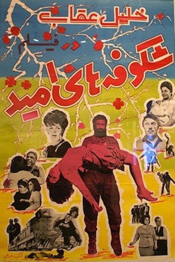 Póster de شکوفه‌های امید