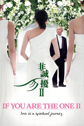 Póster de 非诚勿扰2