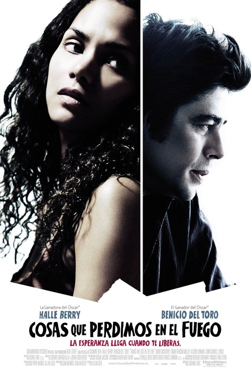 Póster de Things We Lost in the Fire