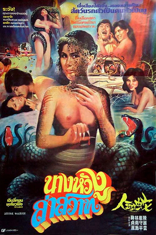 Póster de 몽녀한