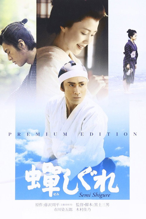 Póster de 蝉しぐれ