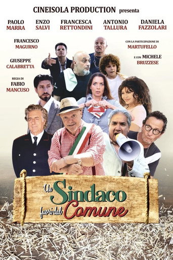 Póster de Un sindaco fuori dal comune