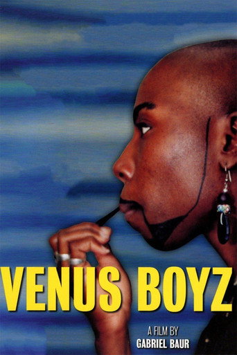 Póster de Venus Boyz