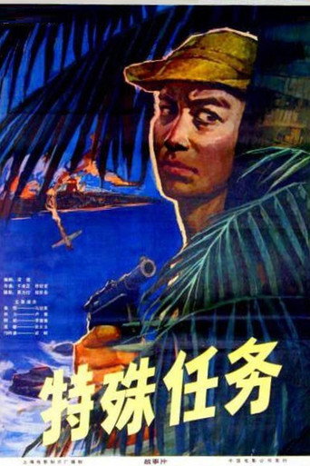 Póster de 特殊任务