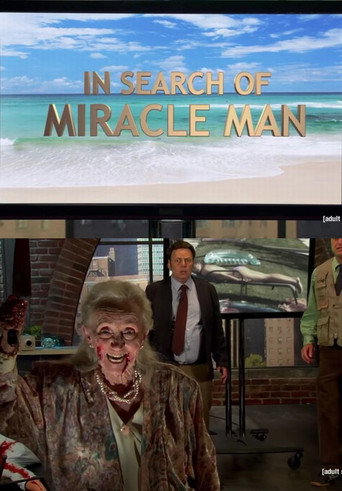 Póster de In Search of Miracle Man