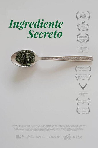 Póster de El Ingrediente Secreto