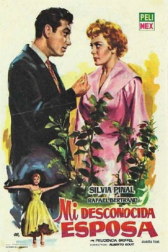 Póster de Mi desconocida esposa