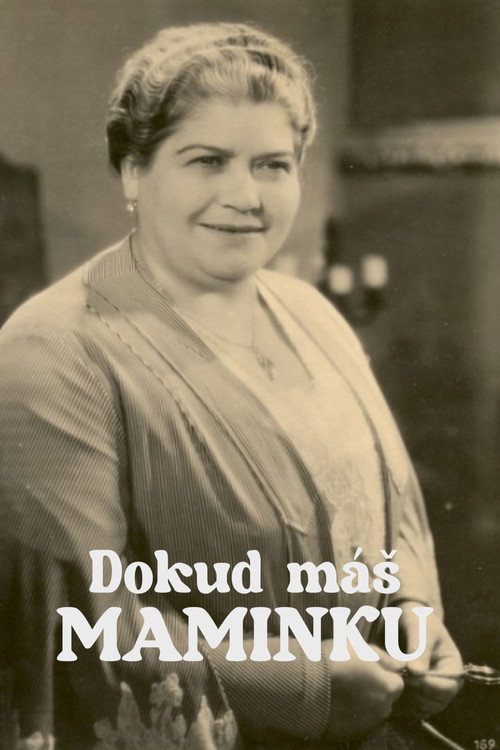 Póster de Dokud máš maminku