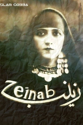 Póster de زينب
