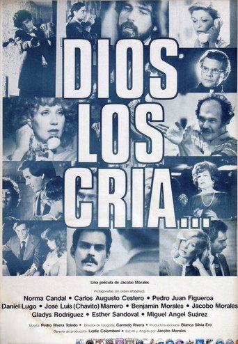 Póster de Dios los cría...