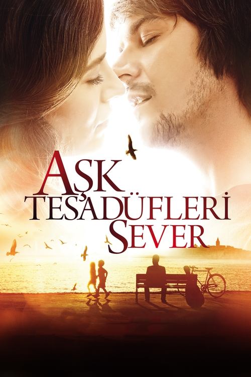 Póster de Aşk Tesadüfleri Sever