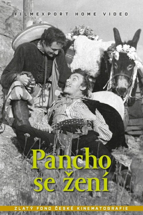 Póster de Pancho se žení