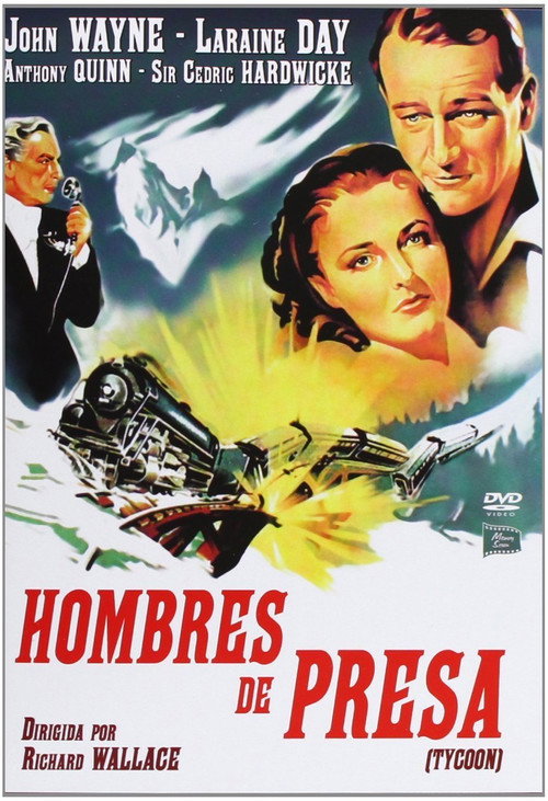 Póster de Tycoon