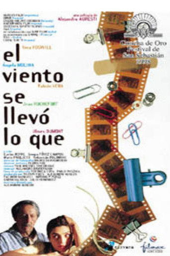 Póster de El viento se llevó lo qué
