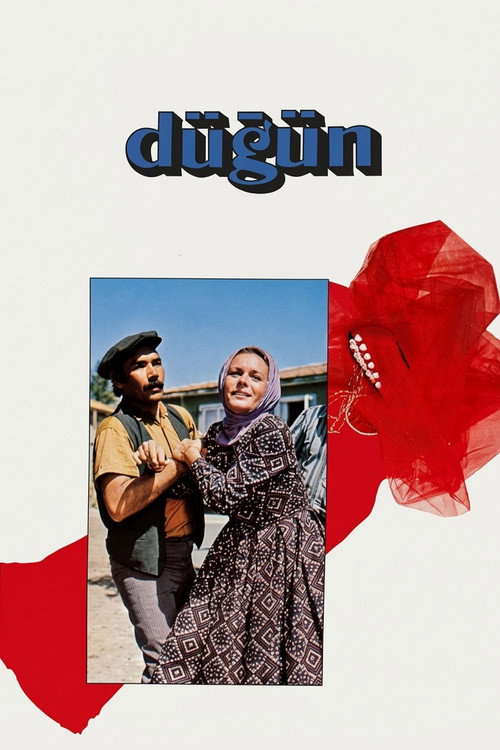 Póster de Düğün