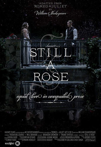 Póster de Still a Rose