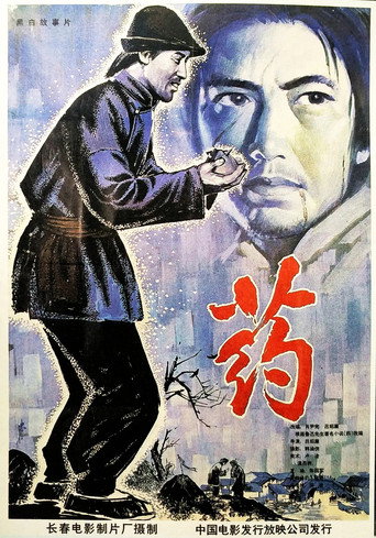 Póster de 药