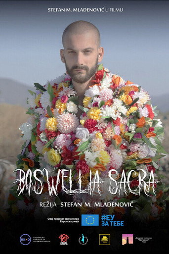 Póster de Boswellia sacra