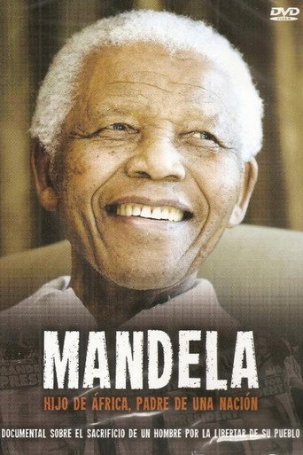 Póster de Mandela