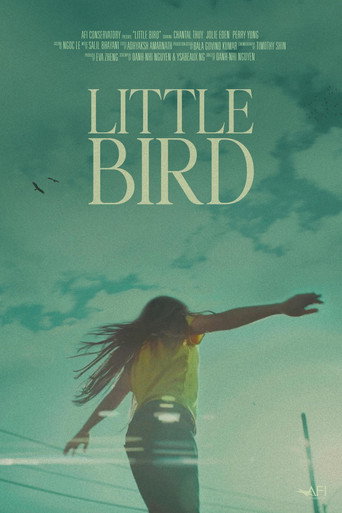 Póster de Little Bird