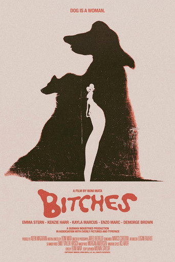 Póster de Bitches