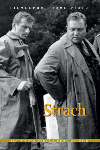 Póster de Strach