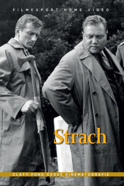 Póster de Strach