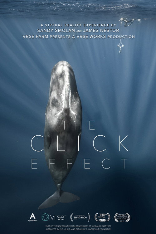 Póster de The Click Effect