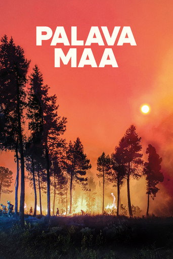 Póster de Palava maa