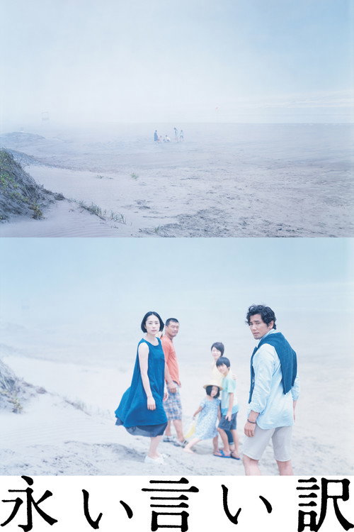 Póster de 永い言い訳