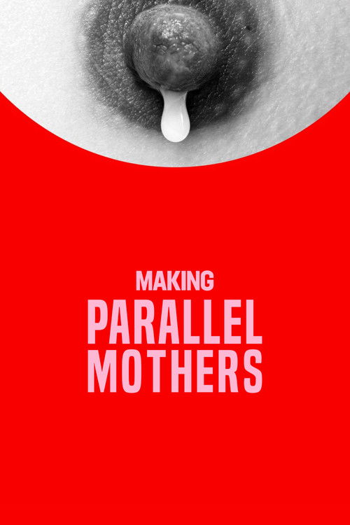 Póster de Making Parallel Mothers