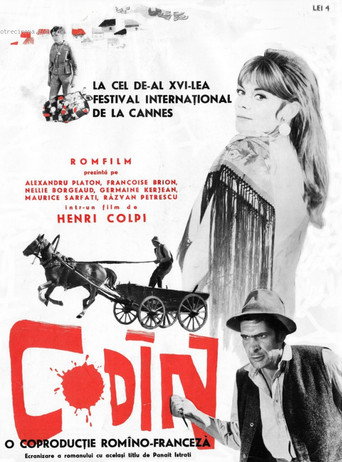 Póster de Codin