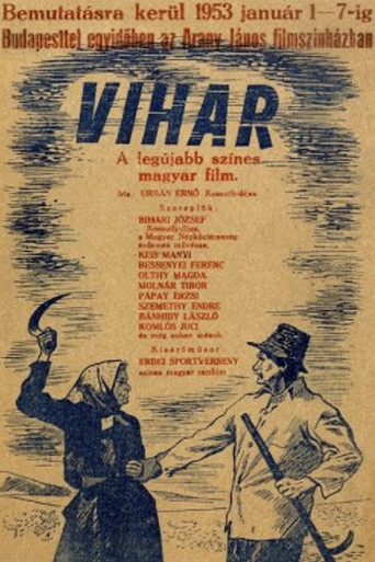 Póster de Vihar