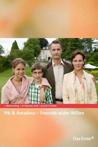 Póster de Pik & Amadeus – Freunde wider Willen