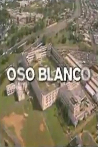 Póster de Oso Blanco