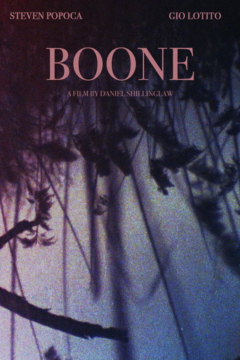 Póster de Boone