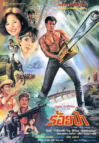 Póster de ร้อยป่า